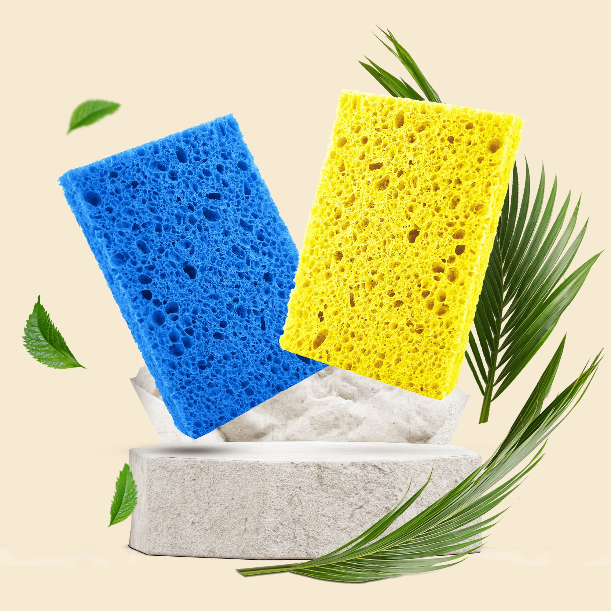 Biodegradable & Compostable Cellulose Compressed Sponges - Pack of 12 (Rectangular)