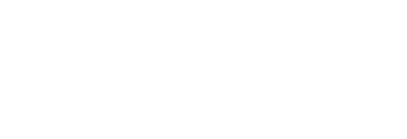 Airnex