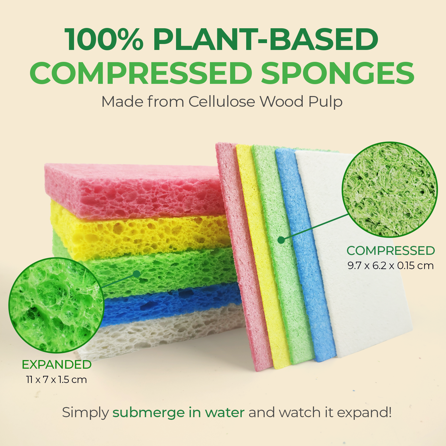 Biodegradable & Compostable Cellulose Compressed Sponges - Rectangular Multicolor