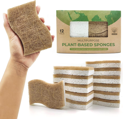 Airnex - A Better Sponge for a Better Planet