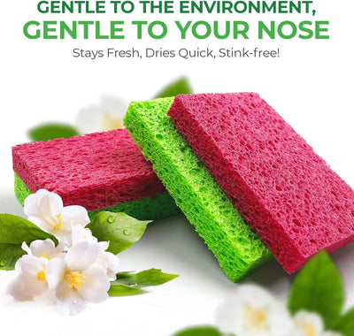 AIRNEX Biodegradable Cellulose Compressed Sponges - Kitchen Sponges for Cleaning - Heavy Duty and Natural Multipurpose Household Cleaning Sponges Good for Kitchen, Bathroom, and Surfaces