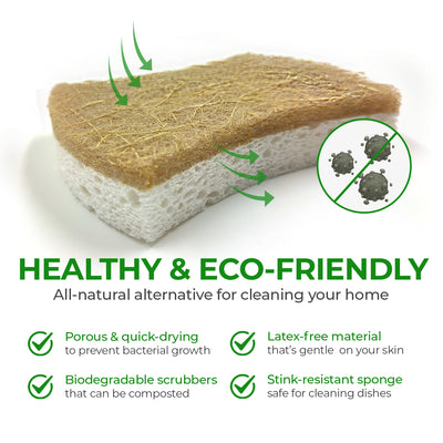Plant-Based Biodegradable Kitchen Sponges - Bundle Pack of 18 - Leaf + Handy + S-Shape