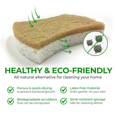 Plant-Based Biodegradable Kitchen Sponges - Bundle Pack of 24 - Handy + S-shaped